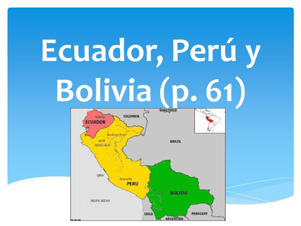 II Seminario de la Red Andino Amazónica en Estudios de Población (RAAEP) titulado “Población y Covid-19 en los países andino amazónicos (Bolivia,  Ecuador y Perú)”